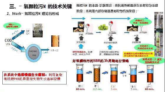 1565570561139298.jpg 5.jpg