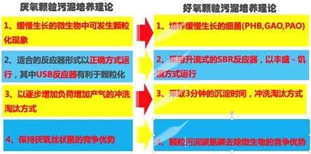 1565570589473656.jpg 6.jpg