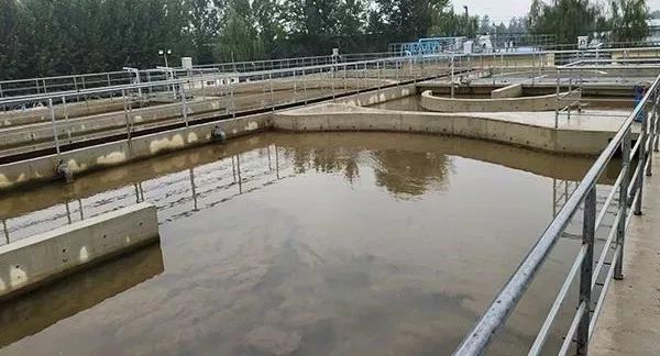 1567757969594162.jpg 9.jpg