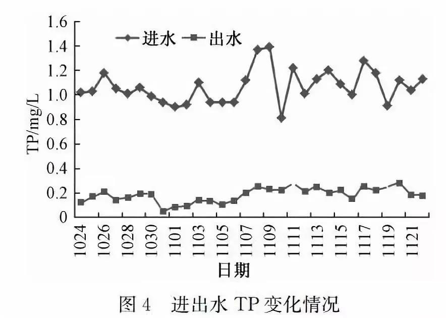 1589272076863561.jpg 4.jpg