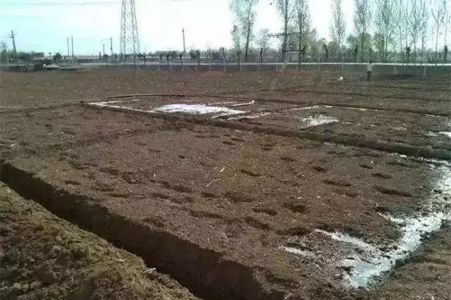 1606816331372134.jpg 1.jpg